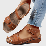 Earthy Brown